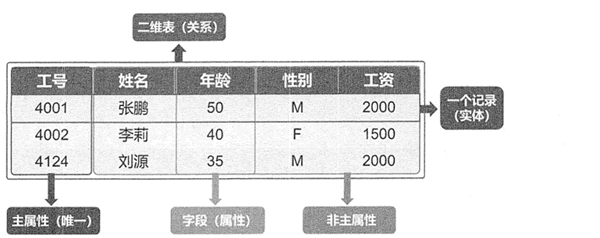 员工信息表