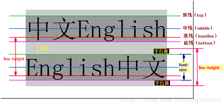 真正的能理解CSS中的line-height，height与line-height