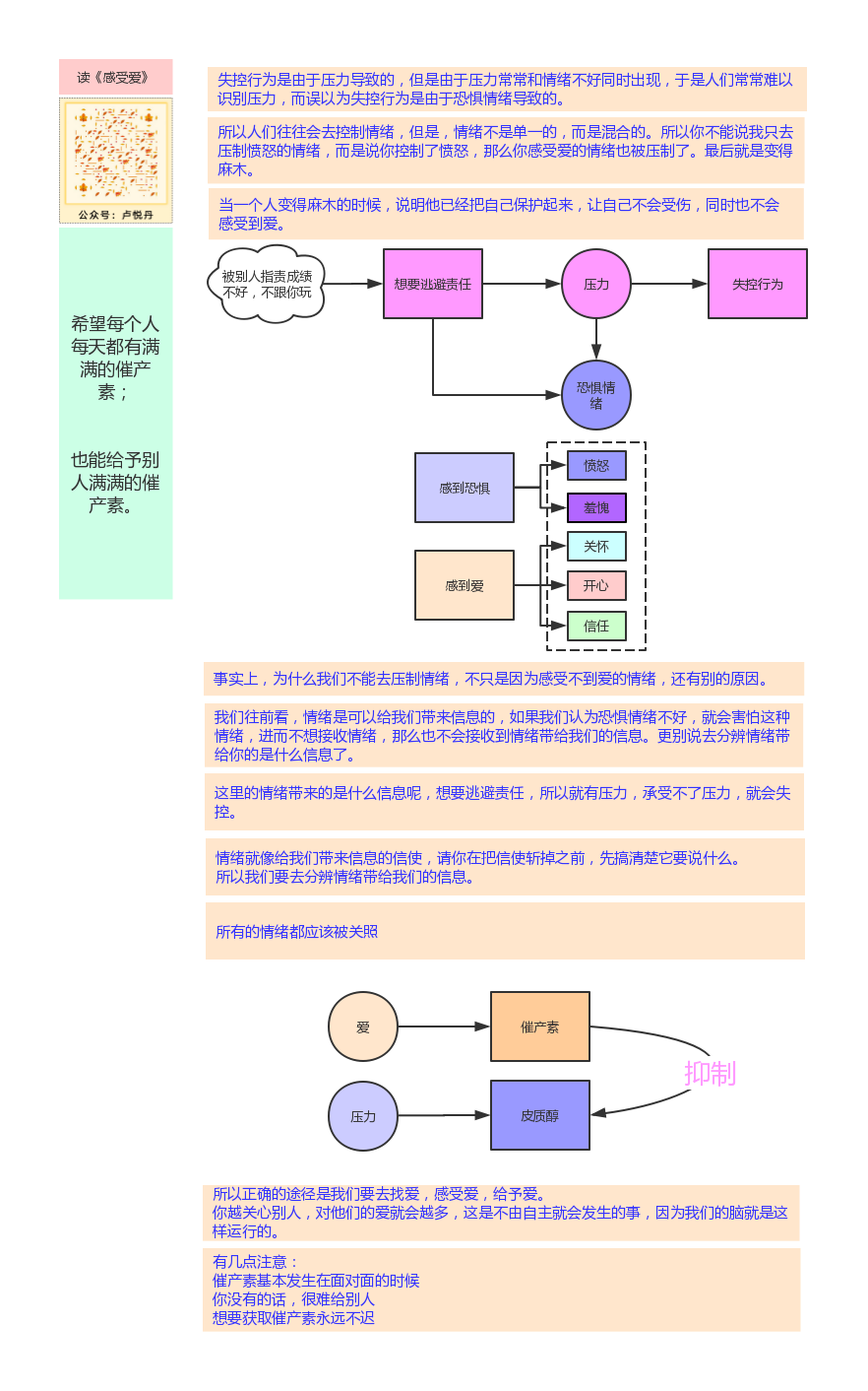 《感受爱》思维导图