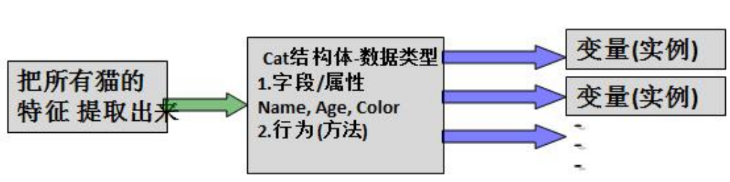 go中结构体基本概念