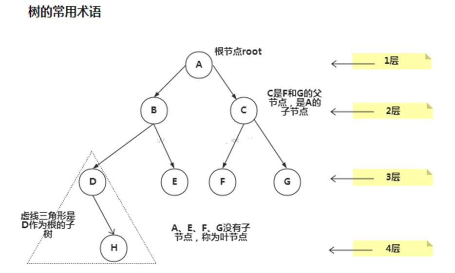 树和二叉树的基本概念