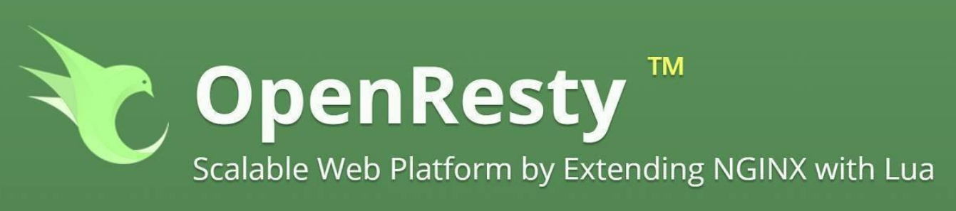 企业级实战——畅购商城SpringCloud-网站首页高可用解决方案-openResty+nginx+lua——OpenResty