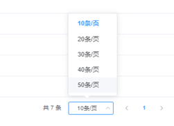 el-data-table设置了分页页码可选值