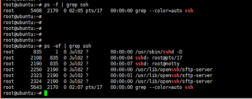 Linux命令之-ps & kill