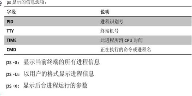 linux -- 进程管理