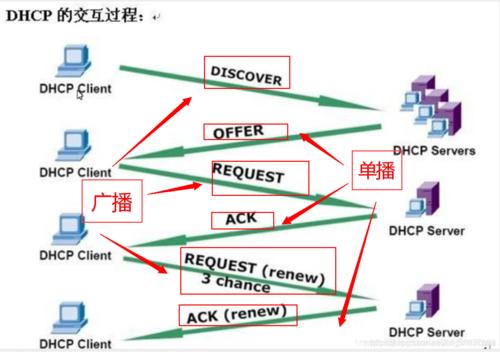 DHCP_一个会自动获取IP的网络协议！