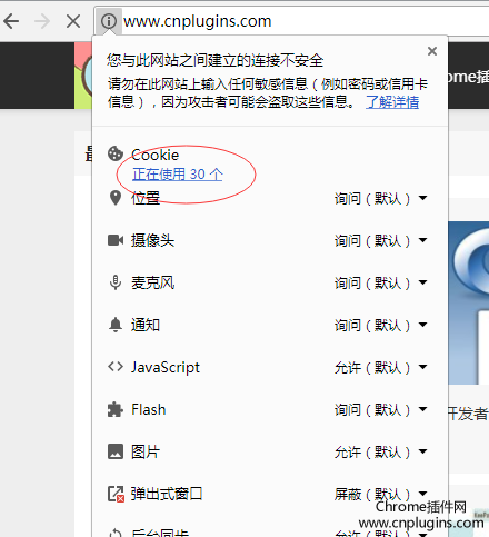 谷歌浏览器 chrome 查看当前页面cookie