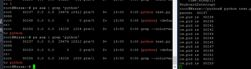 python3 多进程 multiprocessing对僵尸进程的处理