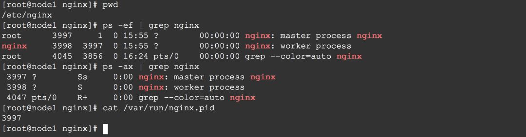 Nginx 一个牛X的功能，流量拷贝！