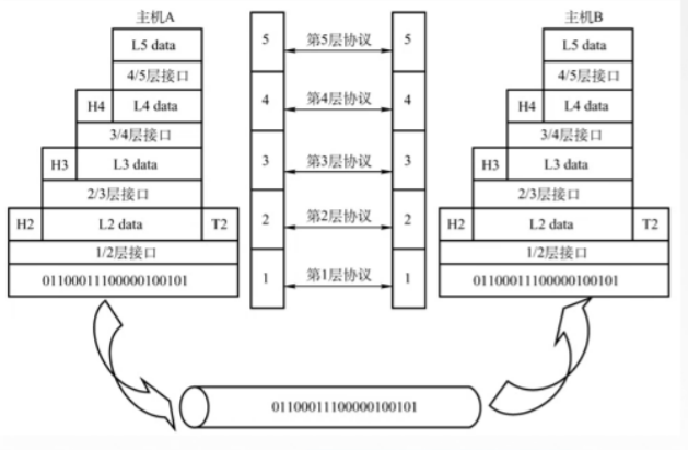 【计算机网络 2】分层架构与数据通信基础