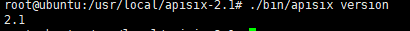 ubuntu安装 apisix2.1 apisix-Dashbord 2.0