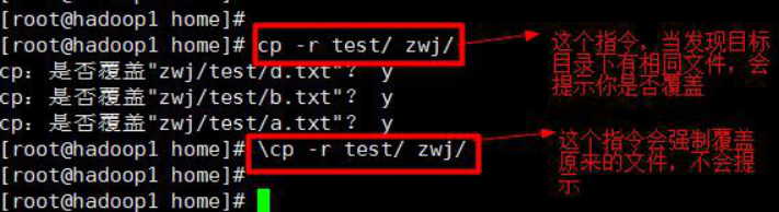 Linux 二： 实用指令；找回root用户密码；命令提示符 -bash-4.1# 修复
