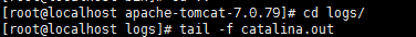 tomcat终端查看实时日志输出
