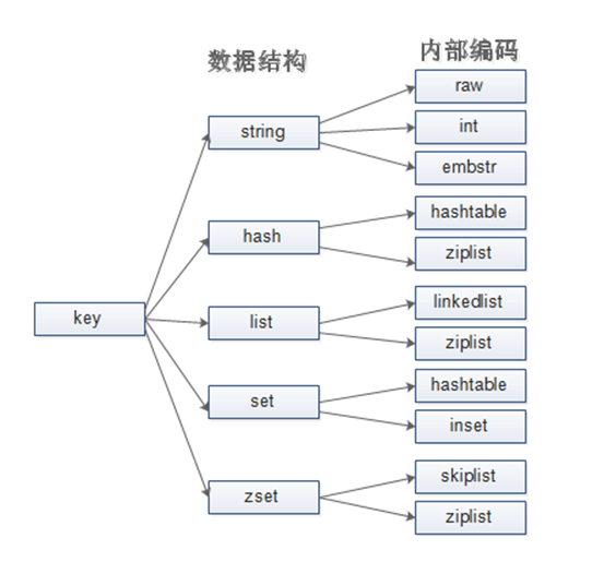 redis 数据结构