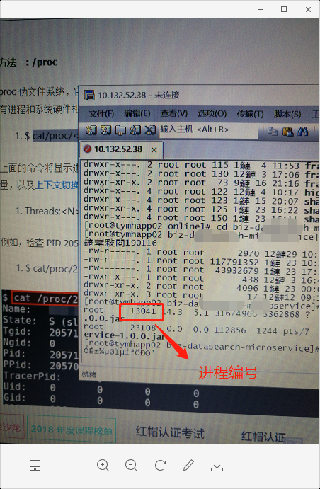 linux查看某应用的进程编号及该进程编号下有多少线程