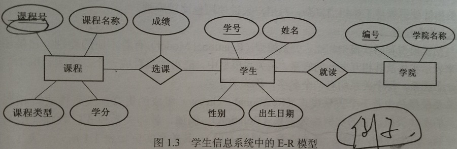 sql概念模型和逻辑模型