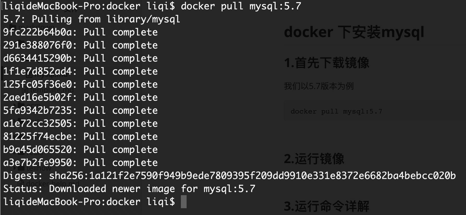 docker 下安装mysql