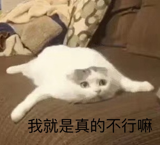 æå°±æ¯ççä¸è¡åï¼ç«åªï¼
