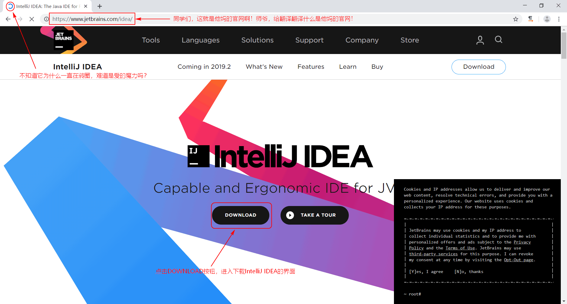 IntelliJ IDEA入门第一讲——IntelliJ IDEA的下载与安装