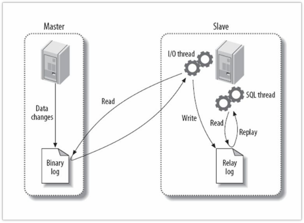 CentOS7下的Mysql8集群操作实践（二）-主从复制