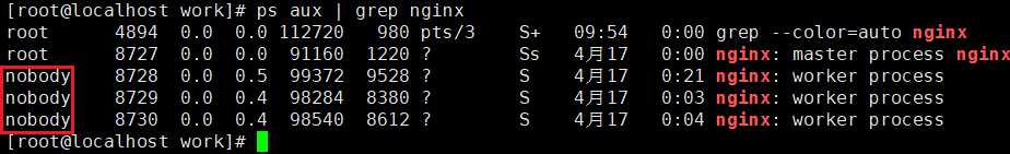 Nginx 修改用户权限