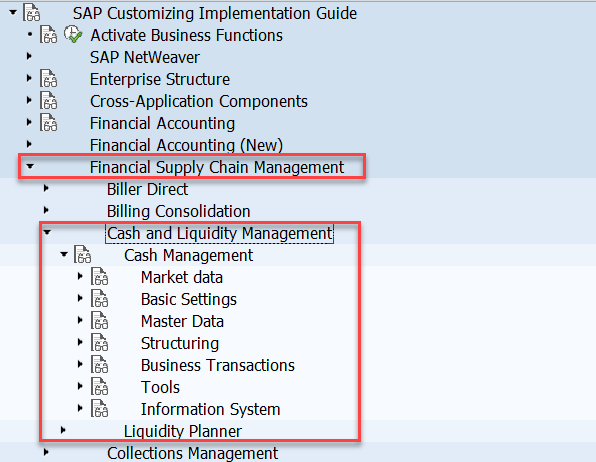 SAP现金管理（Cash Management）的基本概念