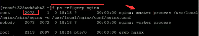 Nginx的启动、停止与重启