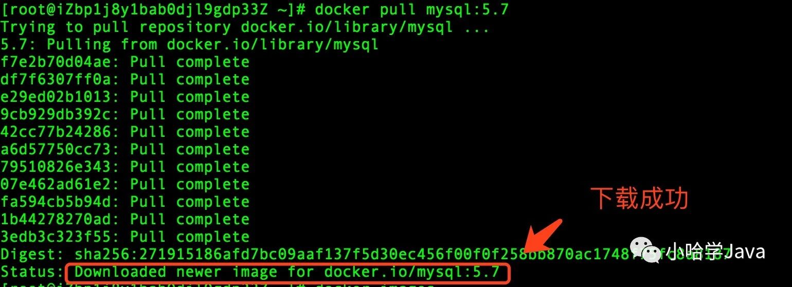 Docker 镜像的常用操作