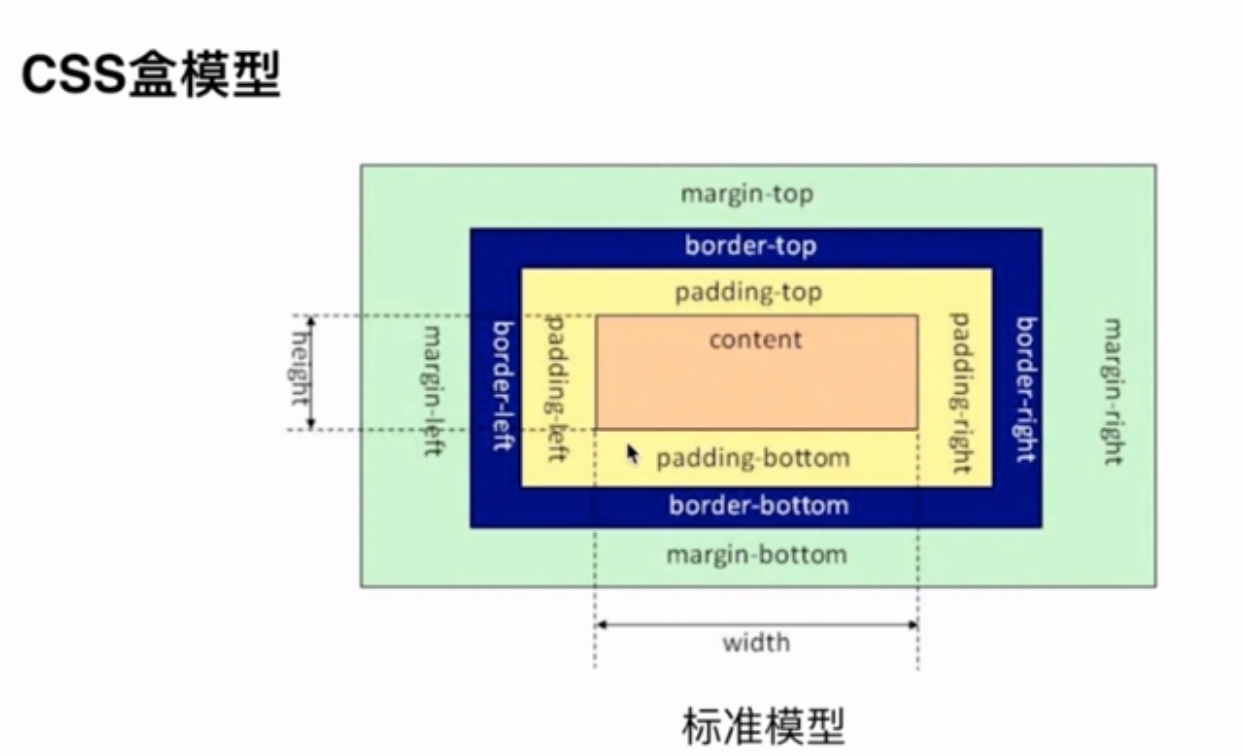 面试总结【css篇】- 盒子模型