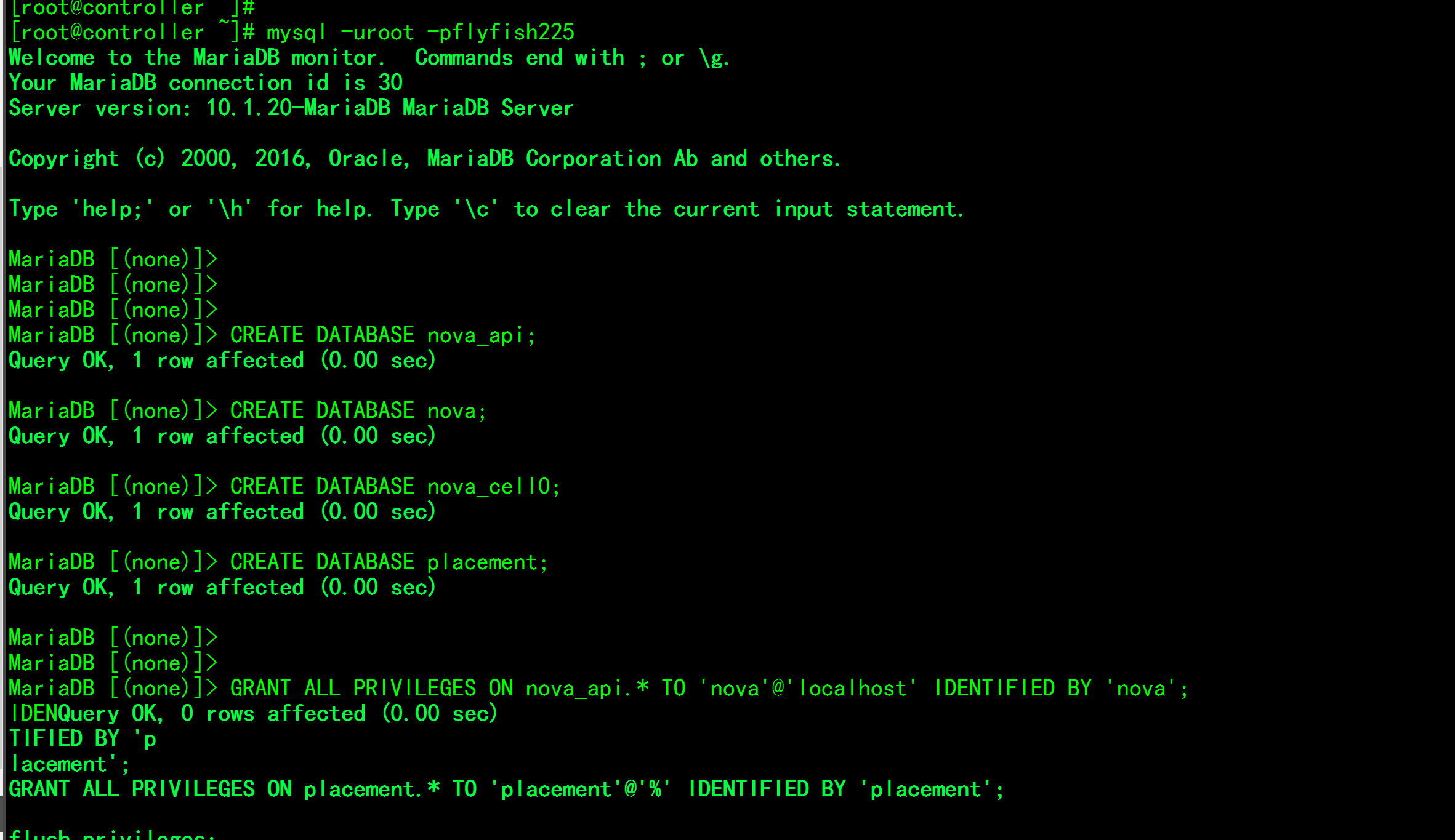 Openstack云计算（二）：openstack rocky部署三：nova 部署与验证（控制节）