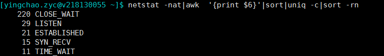 webp
