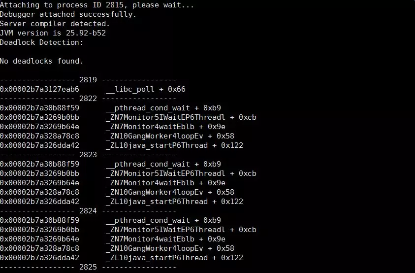webp