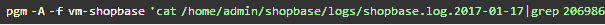 webp