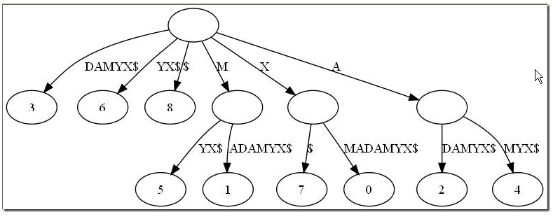 suffix_tree3.png