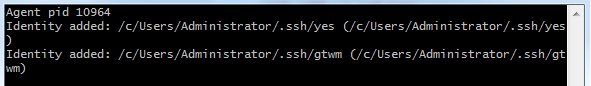 解决Windows下git需要每次都要ssh-add的问题