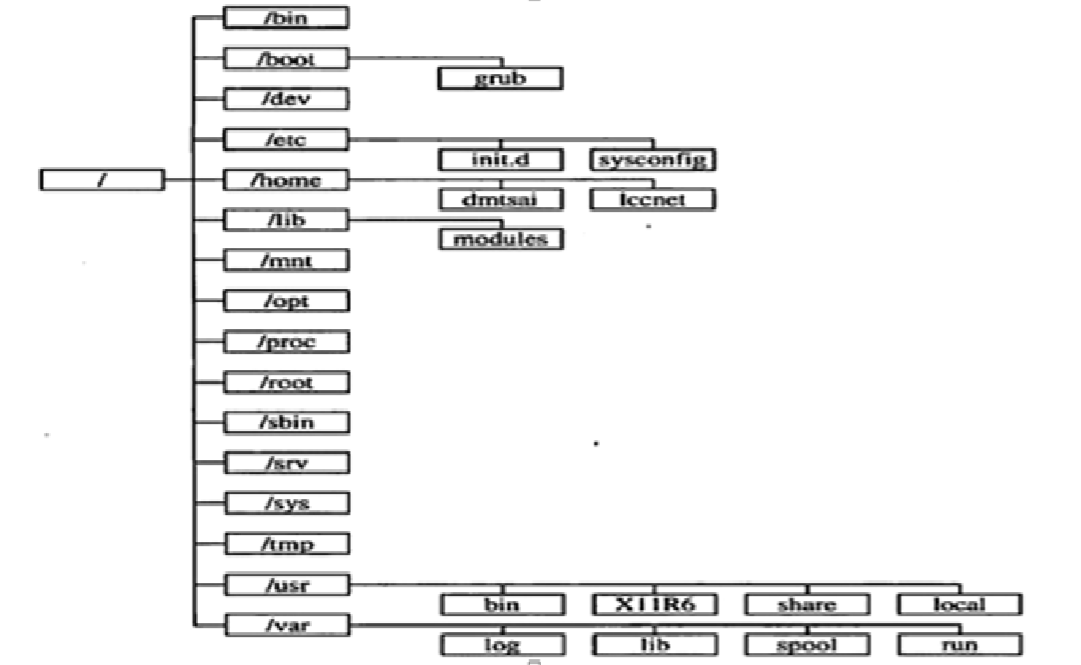 Linux 学习笔记 1（目录知识）