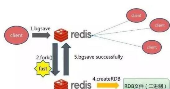 Redis 的持久化机制RDB和AOF有什么区别？