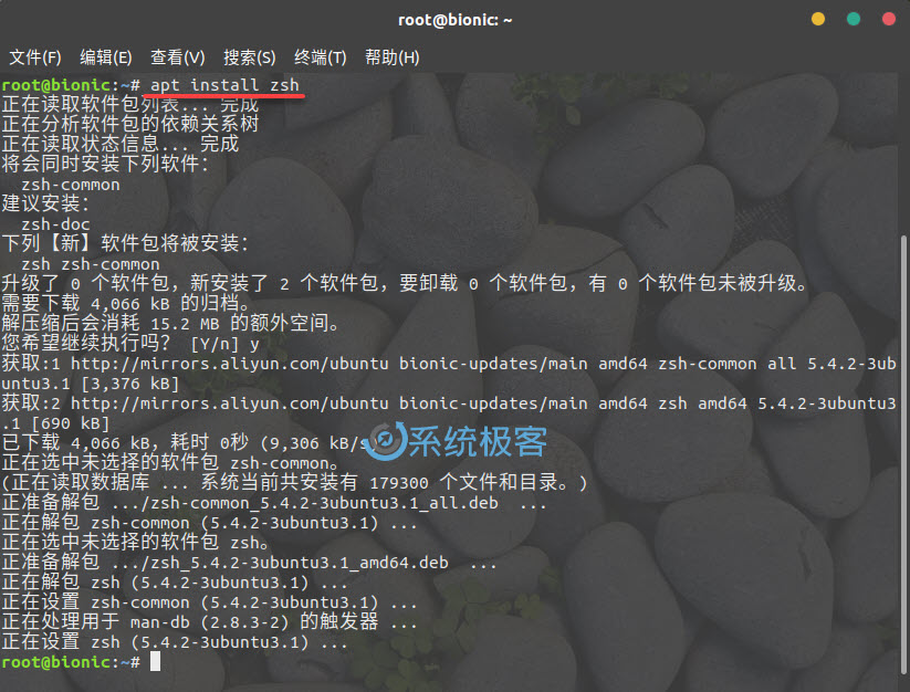 Install-zsh-shell-ubuntu-18-04-2.jpg