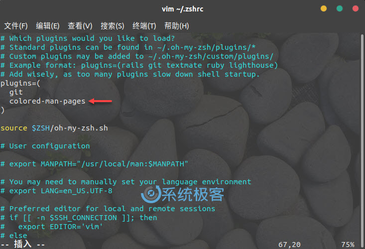 Install-zsh-shell-ubuntu-18-04-19.jpg