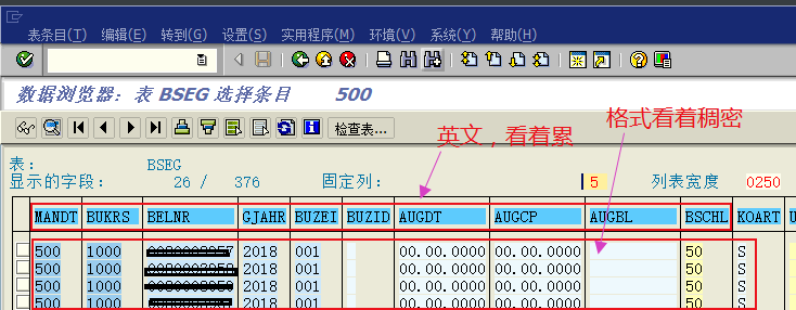  SAP的SE11查看数据格式如何修改 