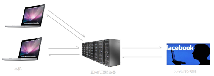 Nginx入门及技术指南