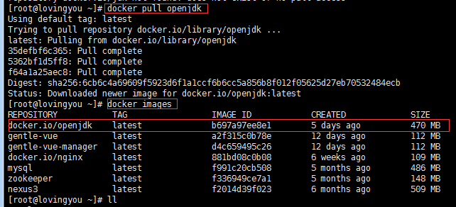 Docker 下载 JDK 镜像（docker search 、docker pull）