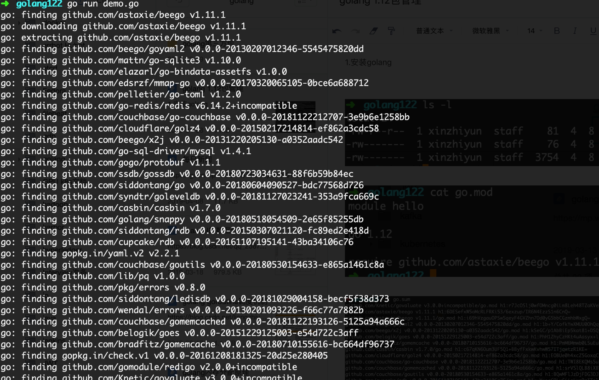 golang 1.12包管理探究