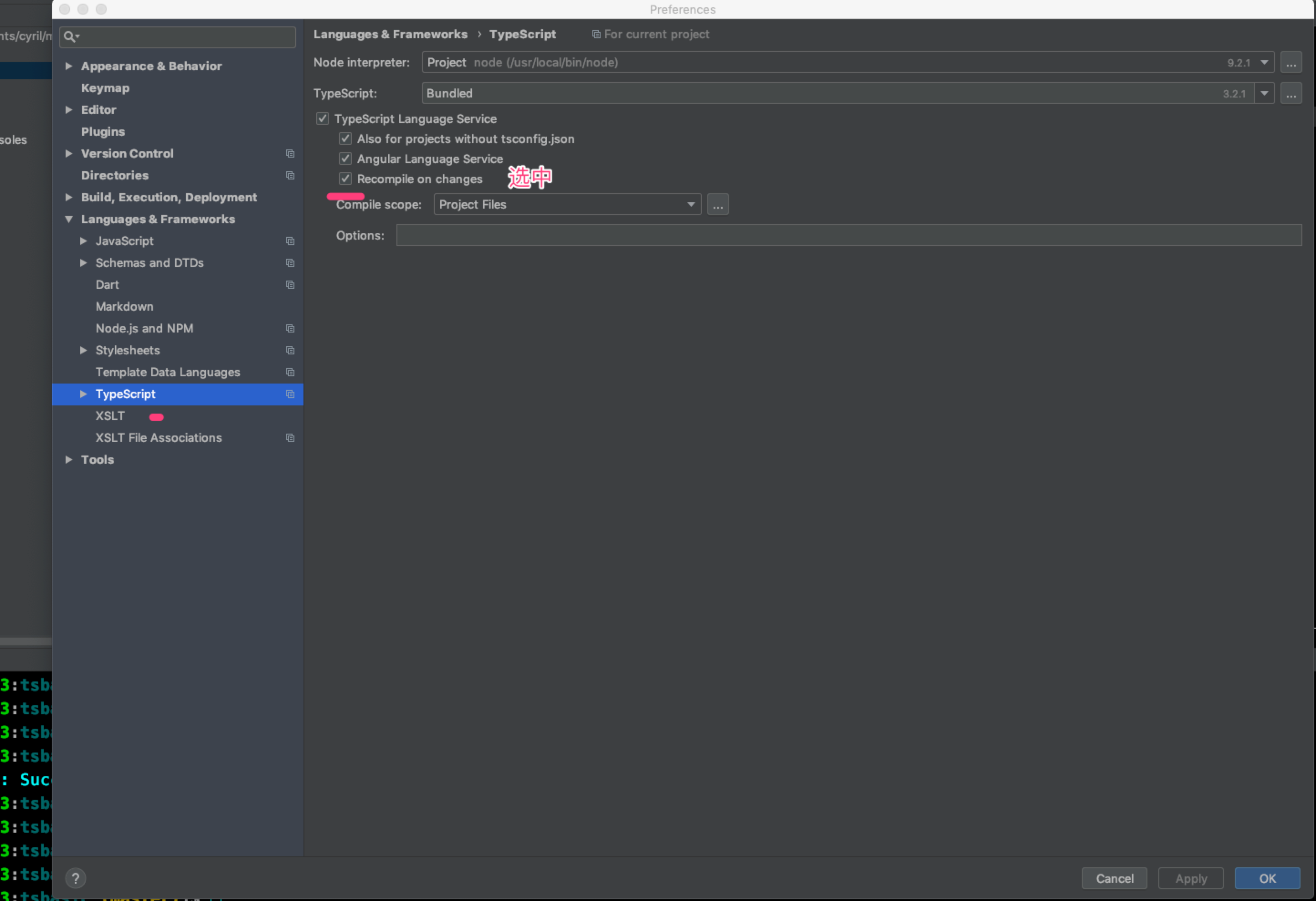 webstorm 开发typeScript基础设置