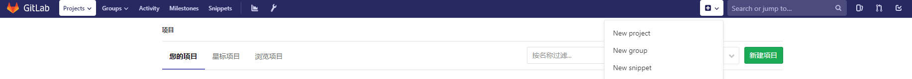 GitLab创建项目和组
