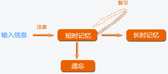 浅读艾宾浩斯遗忘曲线