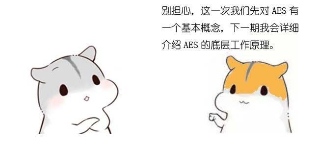 c3be6cf93ef943a8a0fe3c9169ea59a6.jpeg