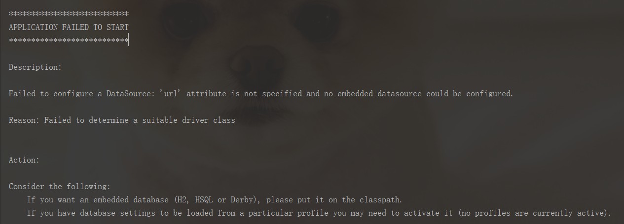 【Spring Boot】项目启动出现 Failed to configure a DataSource: 'url' attribute is not specified and no embedd