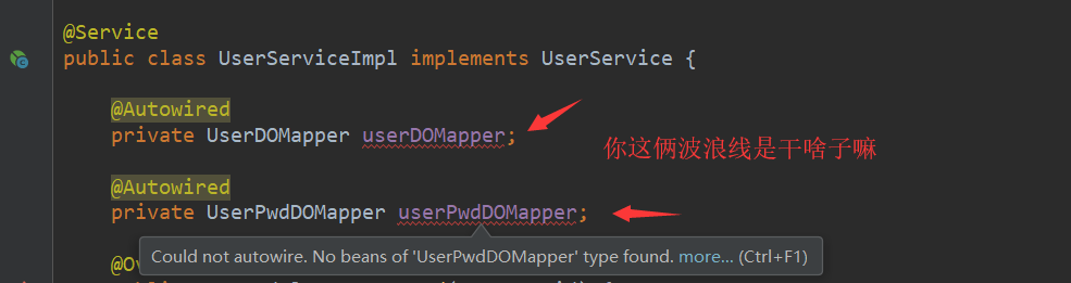 IntelliJ Idea 解决 Could not autowire. No beans of 'xxxx' type found 的错误提示