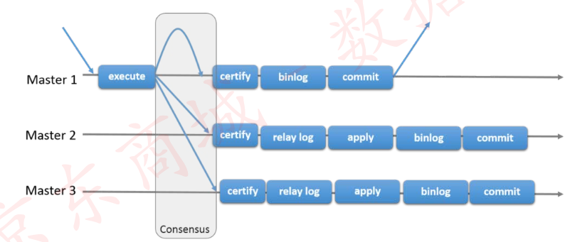 mysql5.7实现组复制（MGR）